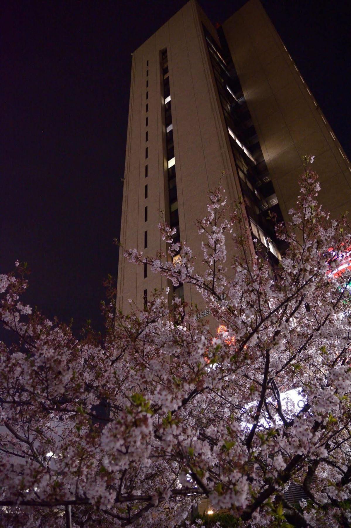東京都 东京中央青年旅舍旅舍 外观 照片